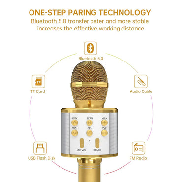 Wireless Bluetooth Karaoke Microphone