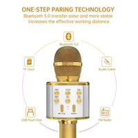 Wireless Bluetooth Karaoke Microphone